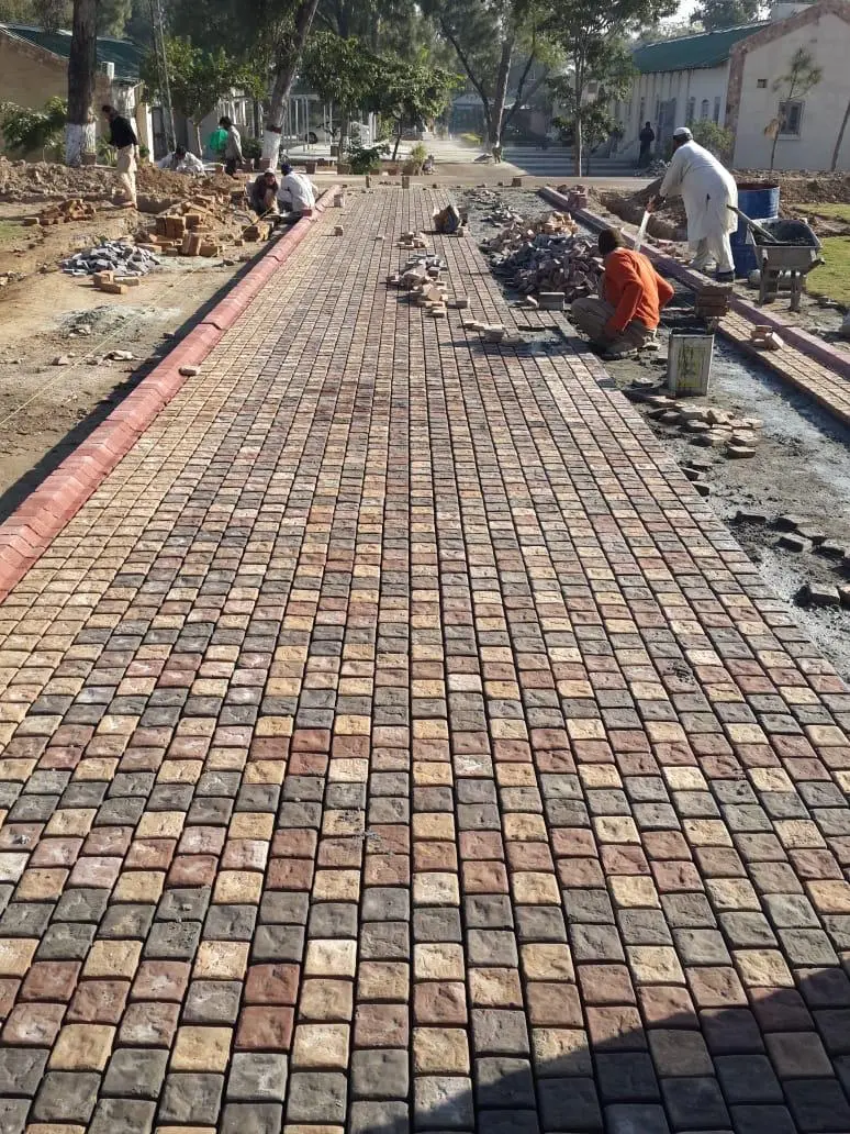 whatsapp image 2025 09 17 at 06.51.10 553f90d1