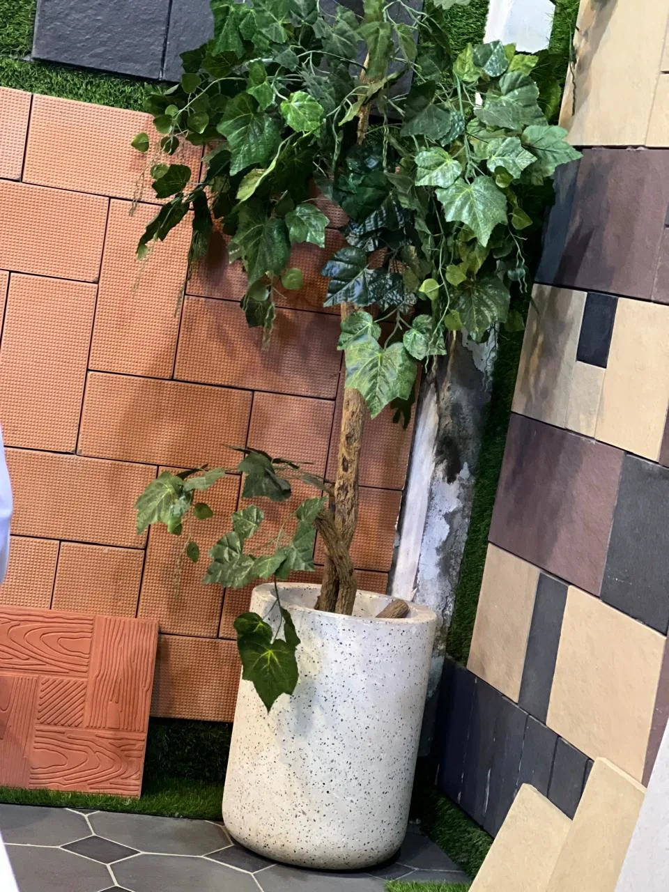 whatsapp image 2025 09 19 at 17.45.49 381c5707