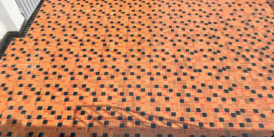 whatsapp image 2025 09 17 at 06.50.56 88df9506