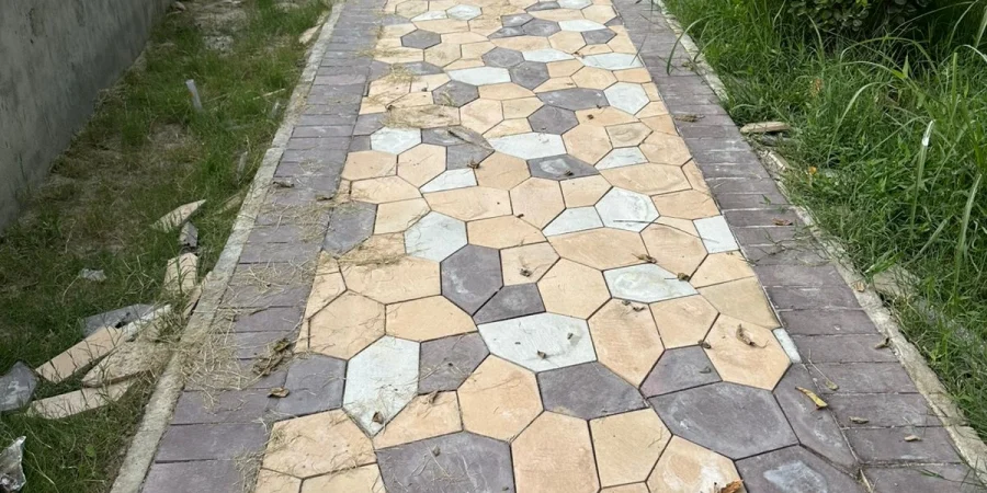 whatsapp image 2025 09 17 at 06.50.58 43bc404d