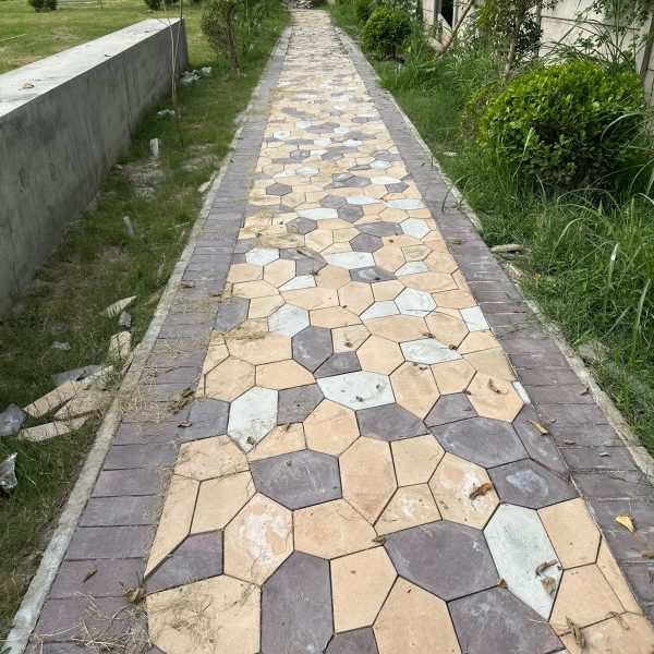 whatsapp image 2025 09 17 at 06.50.58 43bc404d