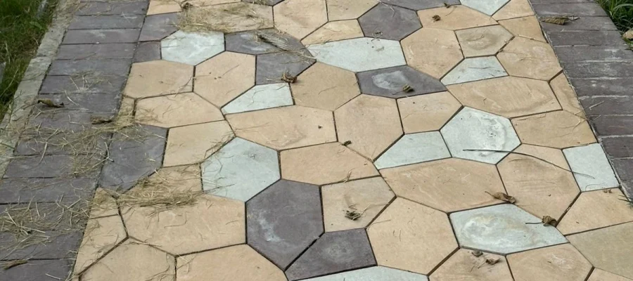 whatsapp image 2025 09 17 at 06.50.59 2b856793